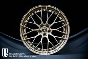 OBF 12_SATIN BRONZE